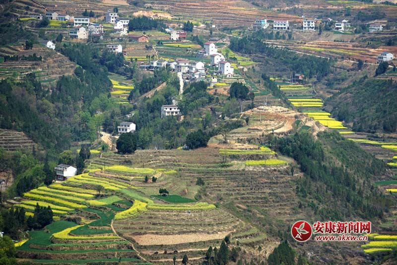 ͼ2.�����������ش������½���أ������Ǹ�ɽ����ɽ����ɽ��������ص�6�ֵ��ε�ò�ص㡣Ϊ�˷�����Ϣ����������ǲ��ò����