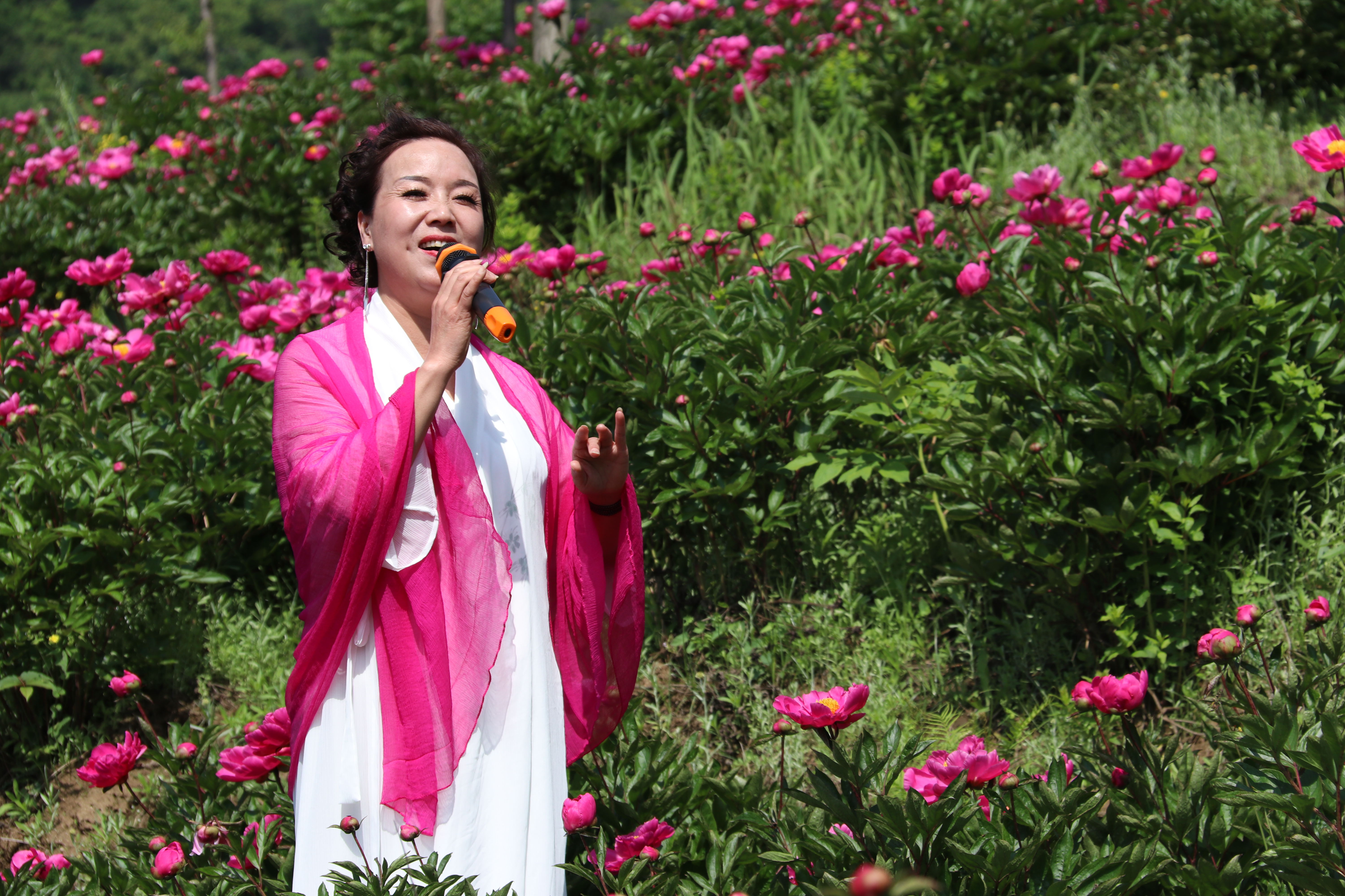 ��ҩ����