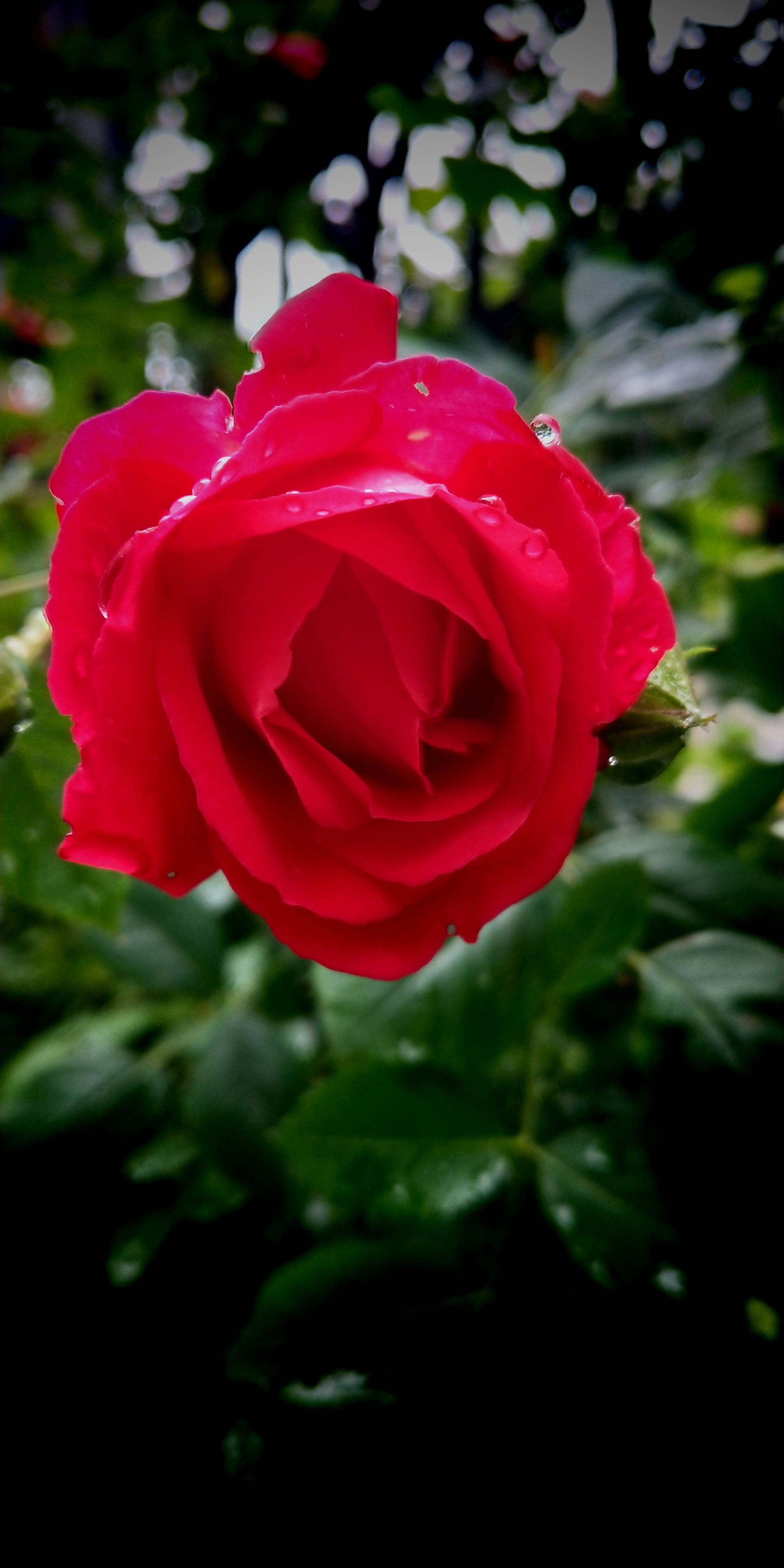 ����  �ƽ�