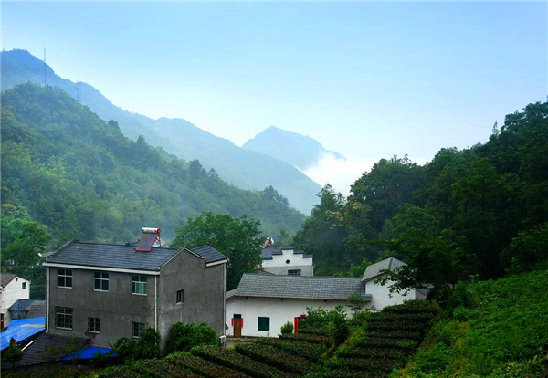 ���µĺ�������ͼ��