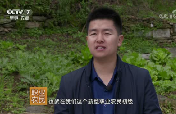 ����С���������ũ�� ���µ�������