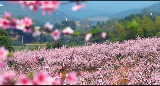 ���Ƽ��һ���ˮɫ�׺ӡ������Ļ�������Ƭ