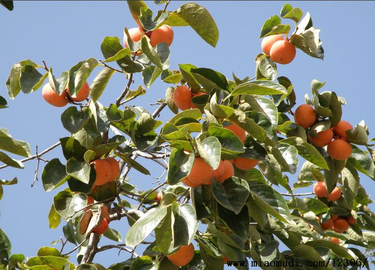 Ѯ��������������Ʈ�� ��Ѯ�Ϻ�����3�ﲻ��